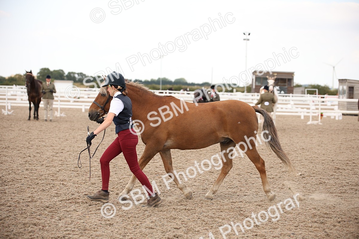 SBM_08244 - Class 27 - IH Competition Horse-Pony