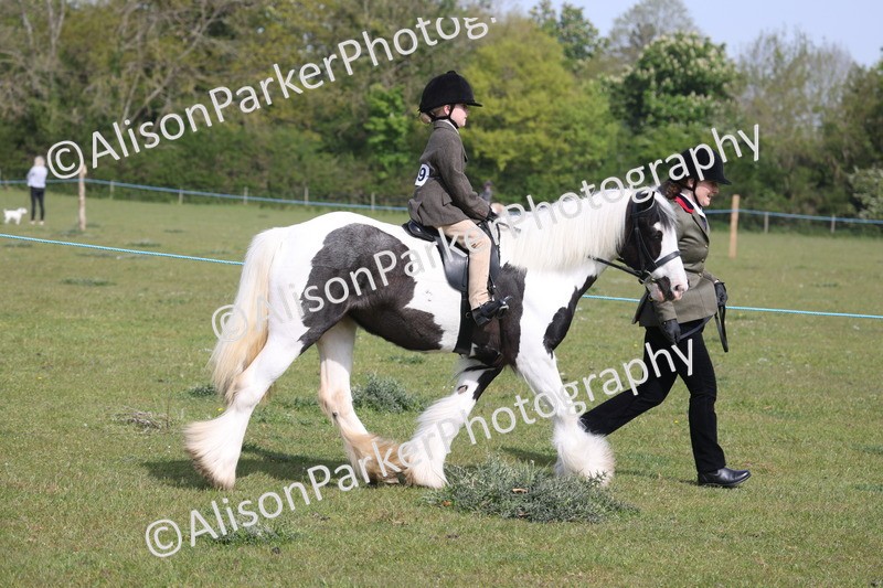 20260426-0591 - Class 31 - Leading Rein