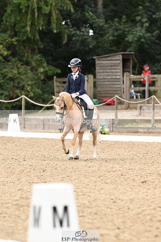 250808A-114304-00683 - 155-Rose.Cassapi-Westfirle.Golden.Oriole