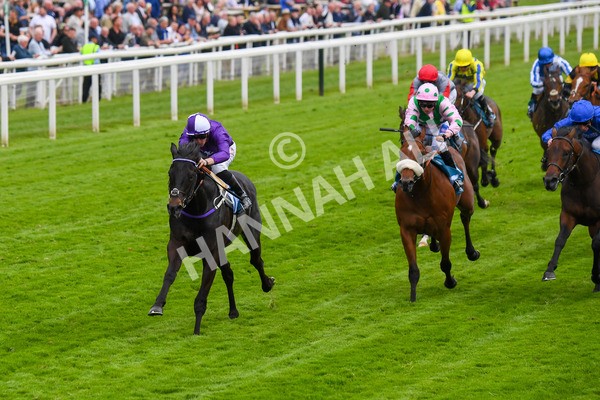 180523-Race 6-Cuban Thunder-0744 - Race 6 4.45pm Frank Whittle Partnership ebfstallions.com Maiden Stakes