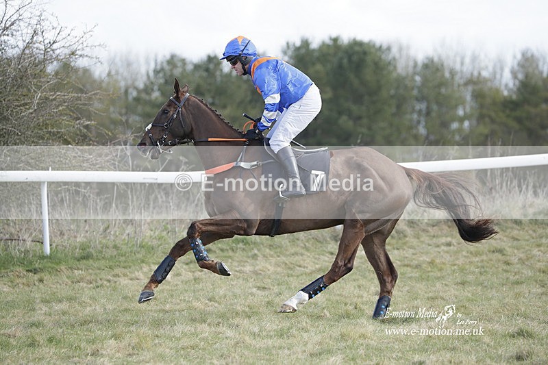 PtP 260223 558 - South & West Wilts Point-to-Point Larkhill 26/02/23