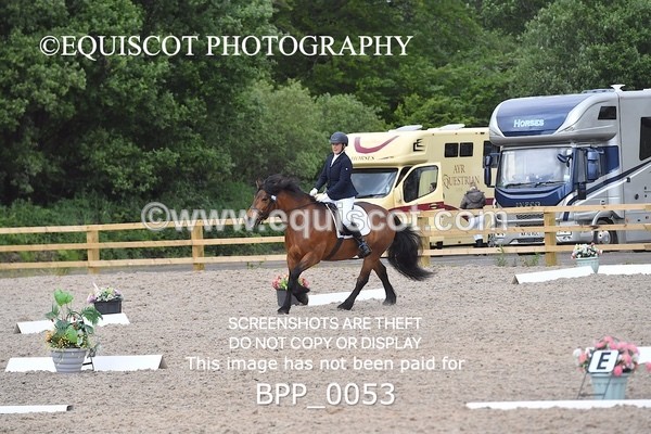 BPP_0053 - SHORT ARENA  MY QUEST PRELIM