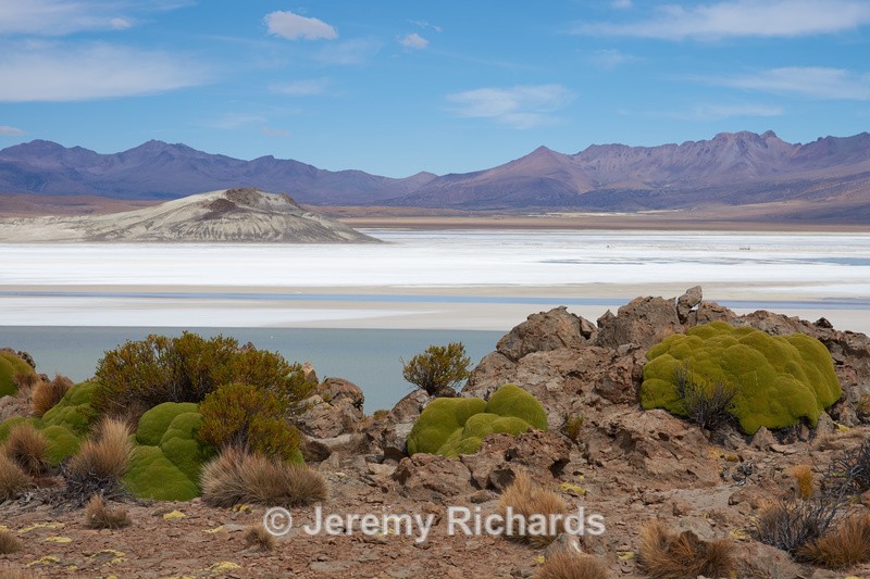 Salar de Surire - Altiplano of North-East Chile