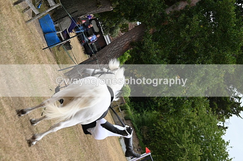 WJ7_0401 - Class 6 Ridden Mountain and Moorland