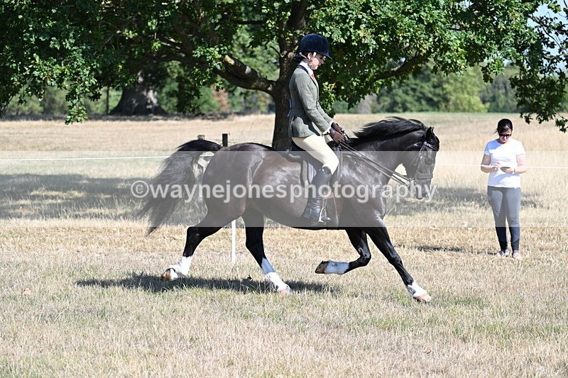 WJ7_3718 - Class 9 Mountain & Moorland Ridden