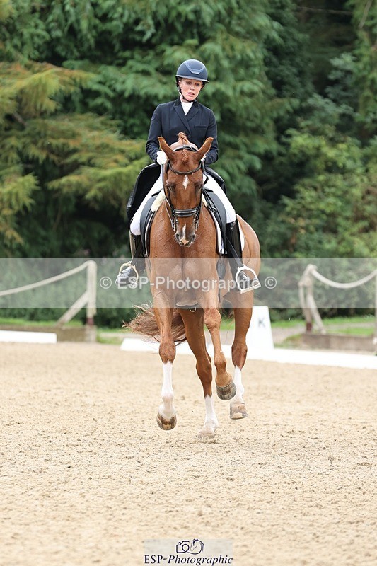 240810-133528-03350 - 188-Amanda.Towle.Shaw-Rockwood.Virtue