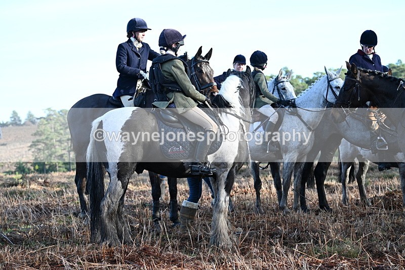 WJ7_7192 - Line 3 (no line 4 or 5)