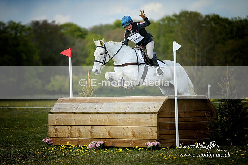 BE 010521 3357a - Equestrian