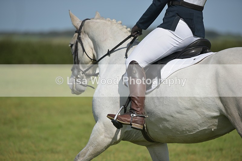 RAY_8128 - Class 2B: Trekenning Open: Dressage