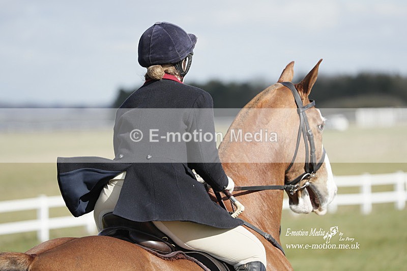 PtP 260223 414 - South & West Wilts Point-to-Point Larkhill 26/02/23