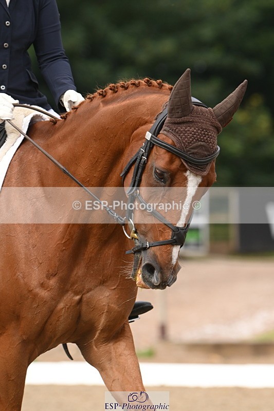 250719A-094755-03091 - 030-Harriet.Dickin-Custer.of.the.West