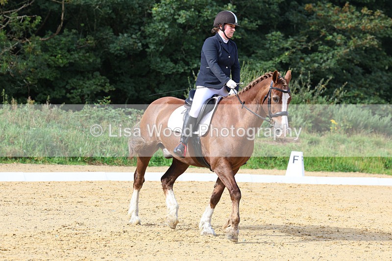 3E7A2267 - Class 1: Intro 4 2024 section A