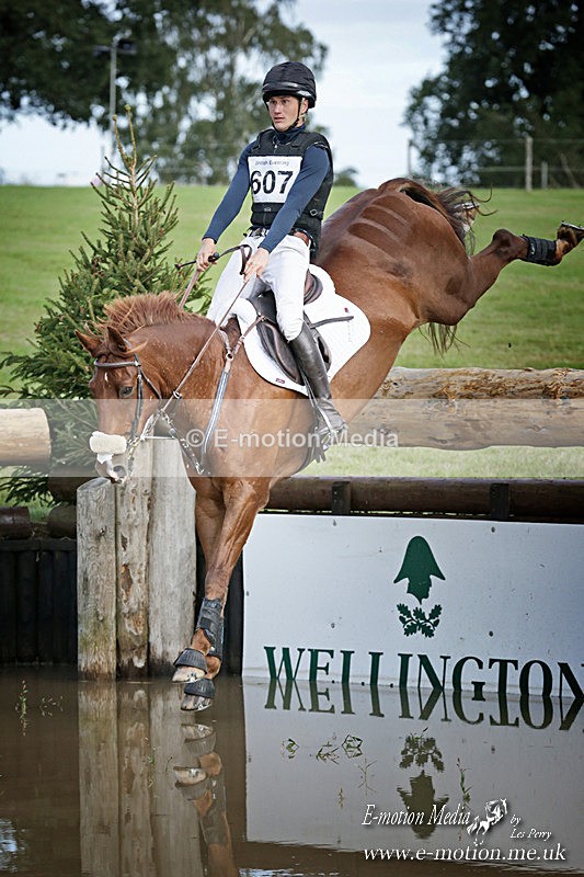 HT 300820 -2103a - Equestrian