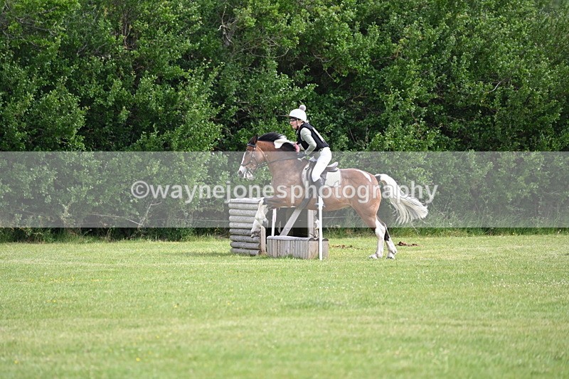 WJ6_2302 - Class 2 40cm