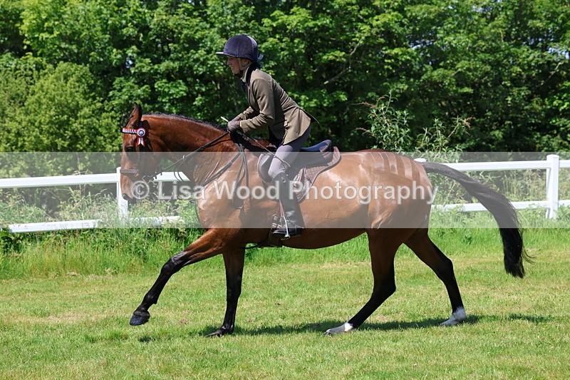 3E7A7534 - Class 31: Working Hunter Cob/Riding Horse