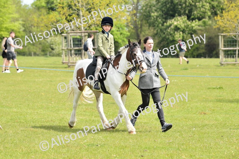 20260426-2336 - Class 20 - Beginner Working Hunter