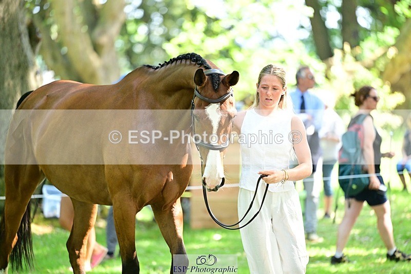 260527A-152719-01181 - C-374-Hannah.Nicolson