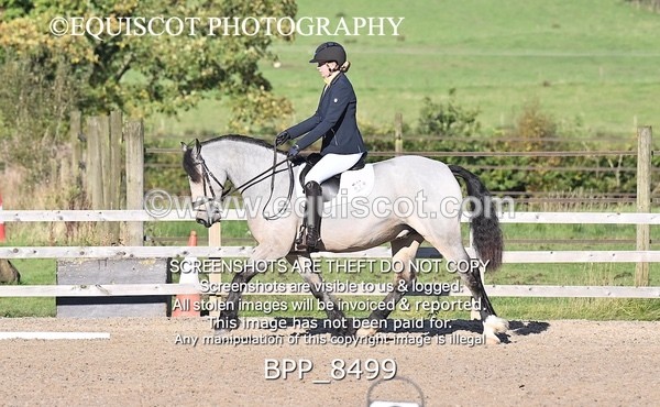 BPP_8499 - SHORT ARENA INTRO 1