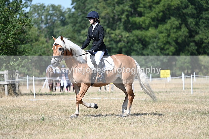 WJ7_0298 - Time 11:33 to 11:44