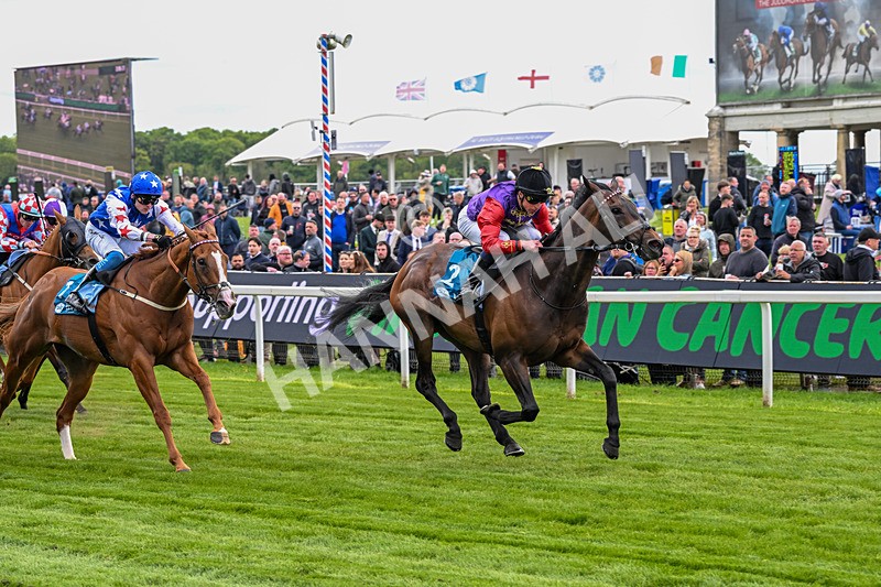 150526-Race 3-Warrant Holder-7551 - Race 3 2.55pm Support Macmillan Charity Raceday On 13 June Handicap