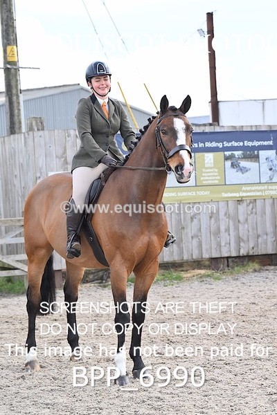 BPP_6990 - RING 1  (RIDDEN HORSES / IN HAND / VETERAN ETC)
