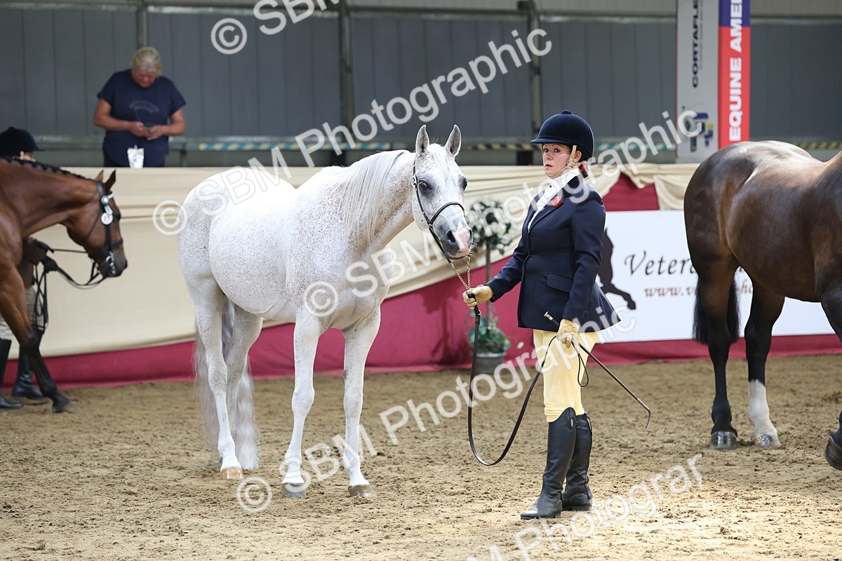 SBM_23401 - Class 903 - Supreme Final - IH Pre Vet