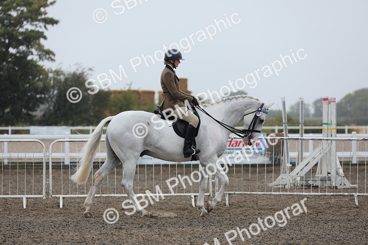 SBM_20000 - Class 802 - Ridden Groom - Helpers class