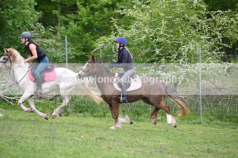 WJ6_3397 - A camera