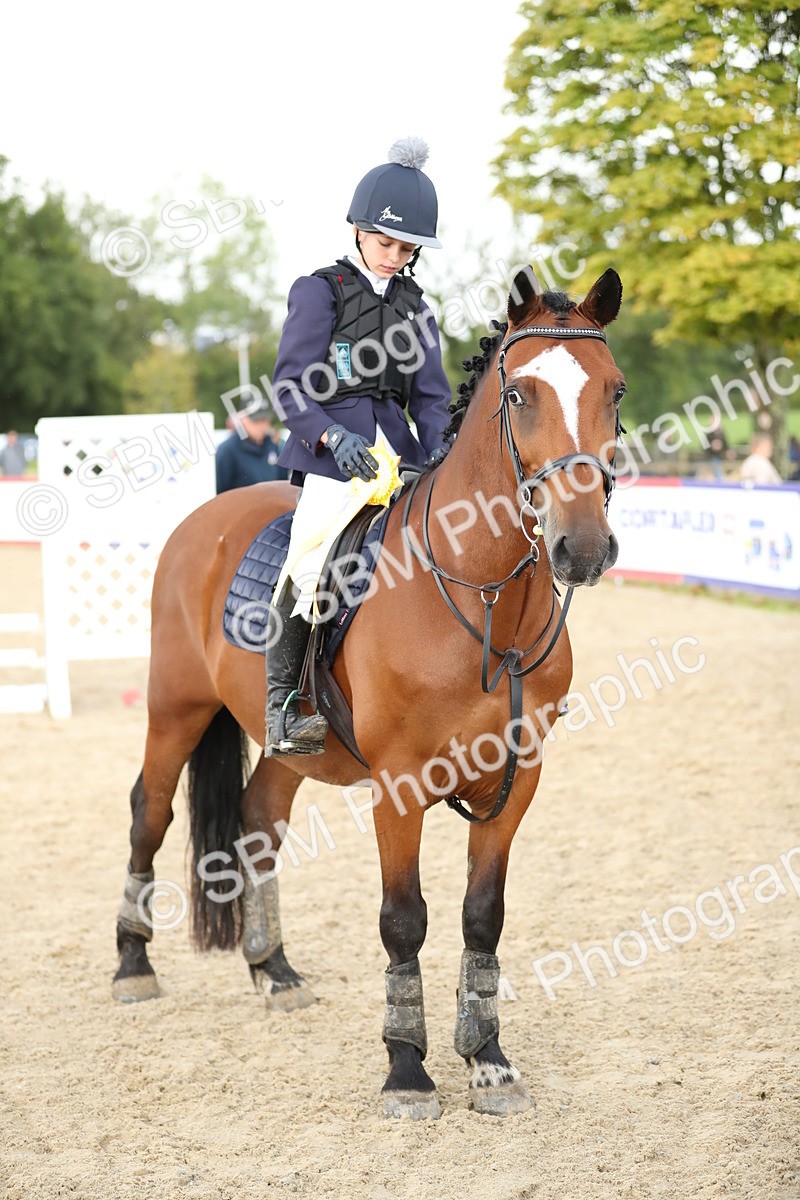 SBM_40514 - J21 - Junior Horse 60cm Championship