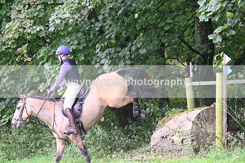 WJ7_8179 - Time 14:11 to 14:30