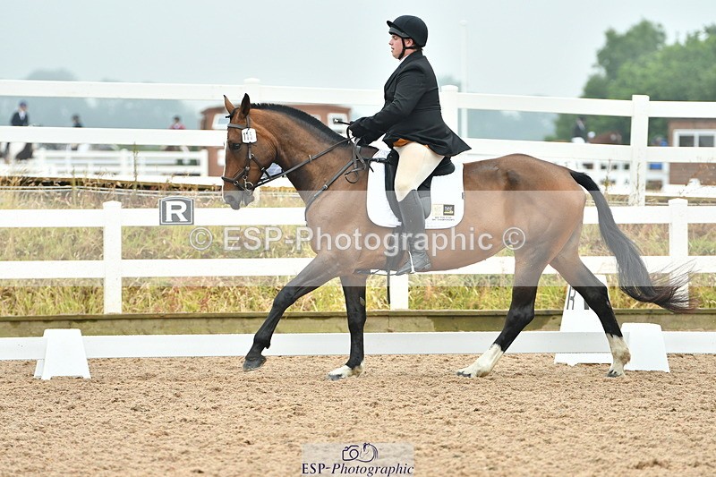 230708A-141707-02906 - Elementary 43