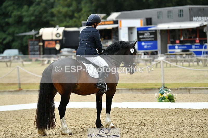 250718A-103311-00188 - 056-Emma.Murch-Gwynfaes.Llewelyn