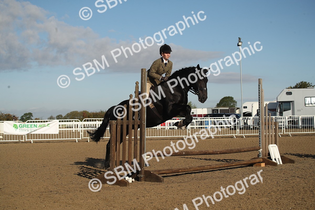 SBM_11569 - Class 502 - Riding Club Horse