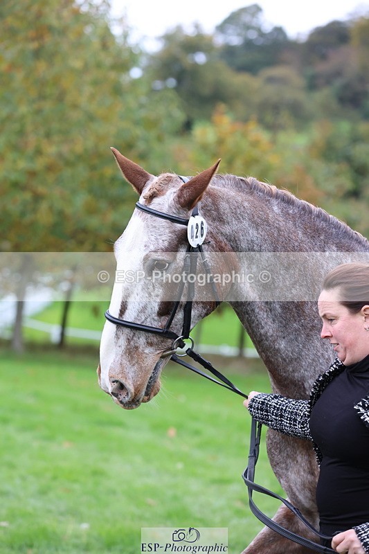 251026A-113303-25521 - F-426-Tracey.Neville