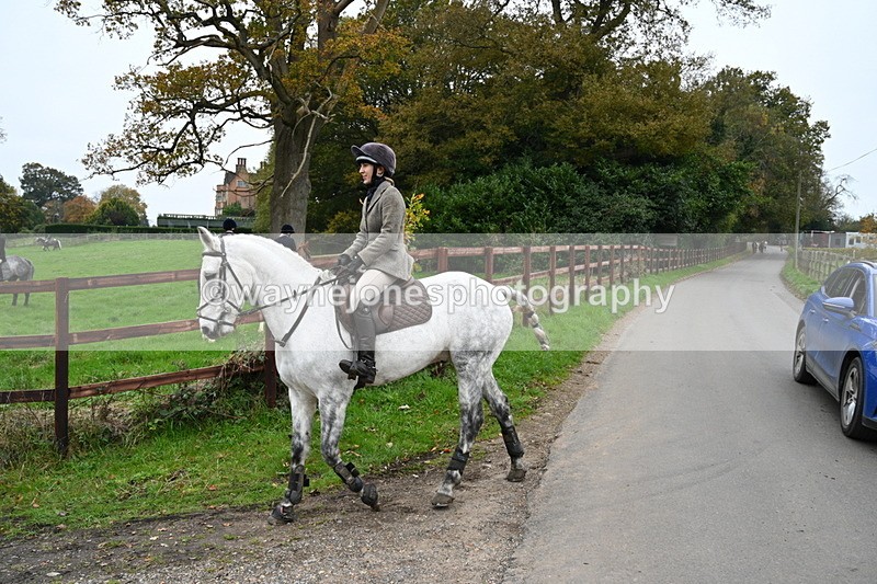 WJ7_7188 - The Meet