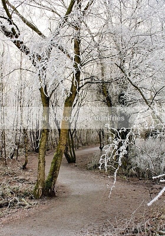 path - Landscape