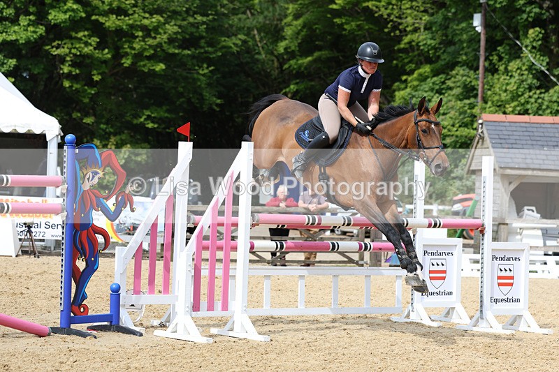 3E7A7709 - Class 8: Senior Foxhunter/1.20 open