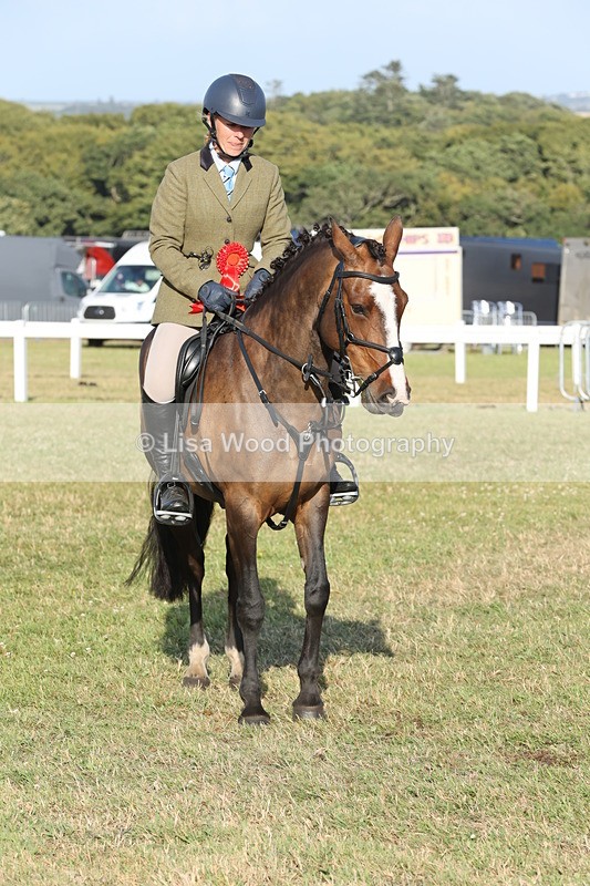 JPP_3398 - Class 22: Working Hunter 90cm