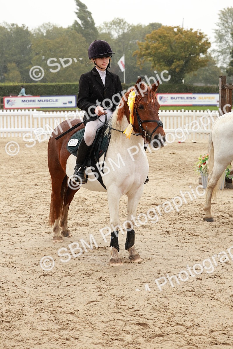 SBM_72305 - J14 - Junior Pony 65cm Championship