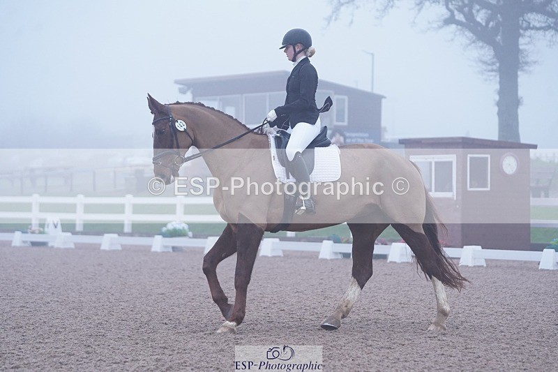 250215-094532-02696 - 142-Daisy.Hedges-Felicia.v