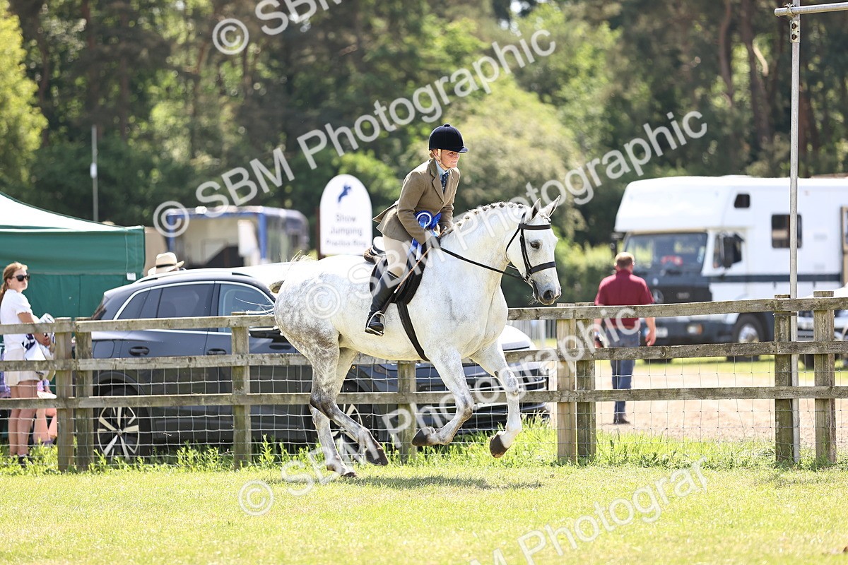 SBM_16242 - Class 79-80 - LIHS BSHA Rising Star Ridden Hunter