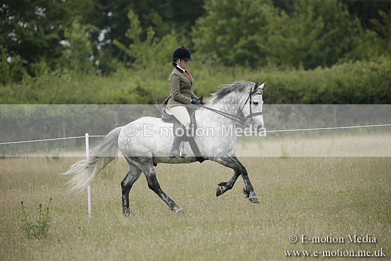 B230619-0526 - Bourne Valley Riding Club Summer Show 23/06/19