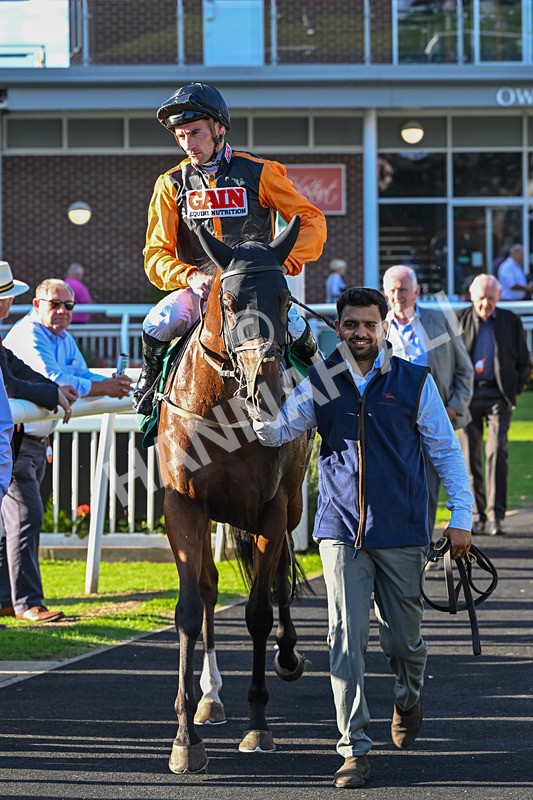 140926-Race 7-Forest Caper-8015 - Race 7 5.21pm Bowel Cancer Screening Programme Saves Lives Handicap