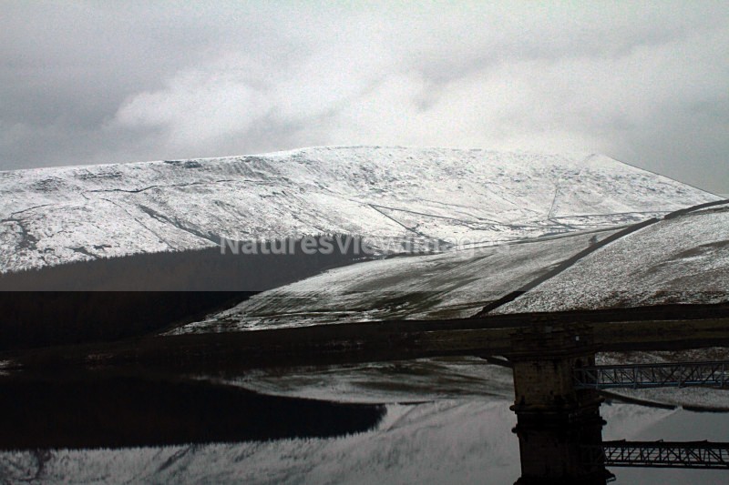 Snow over Pendle - Landscape
