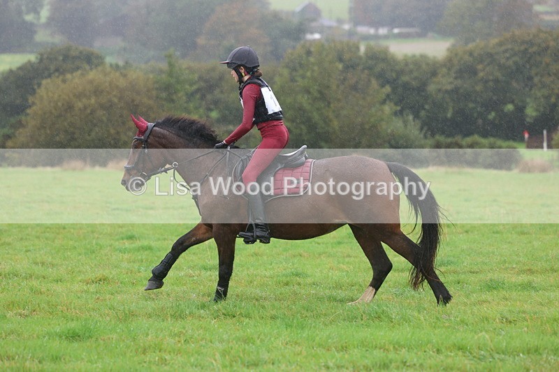 3E7A0914 - Class 1: 65cm: Rails