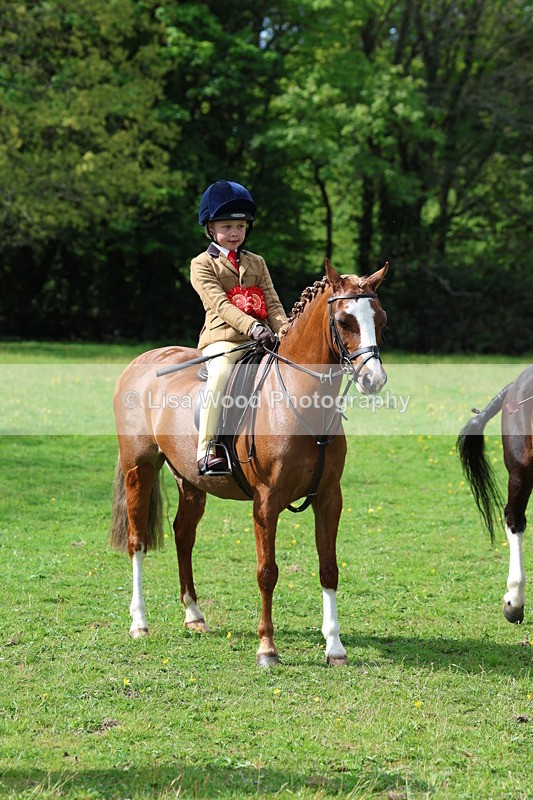 3E7A2722 - Working Hunter Championship