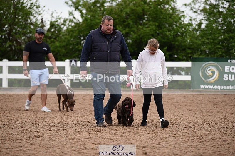 240518A-122316-01140 - Cls 4 Best Crossbred