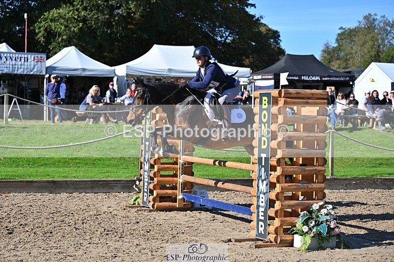 241027-115058-17010 - 441-Molly.Swain-SOCKS