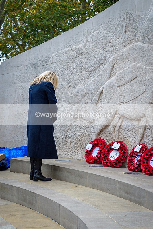 NGP_8253 - 2024 Animals in War Remembrance Gathering