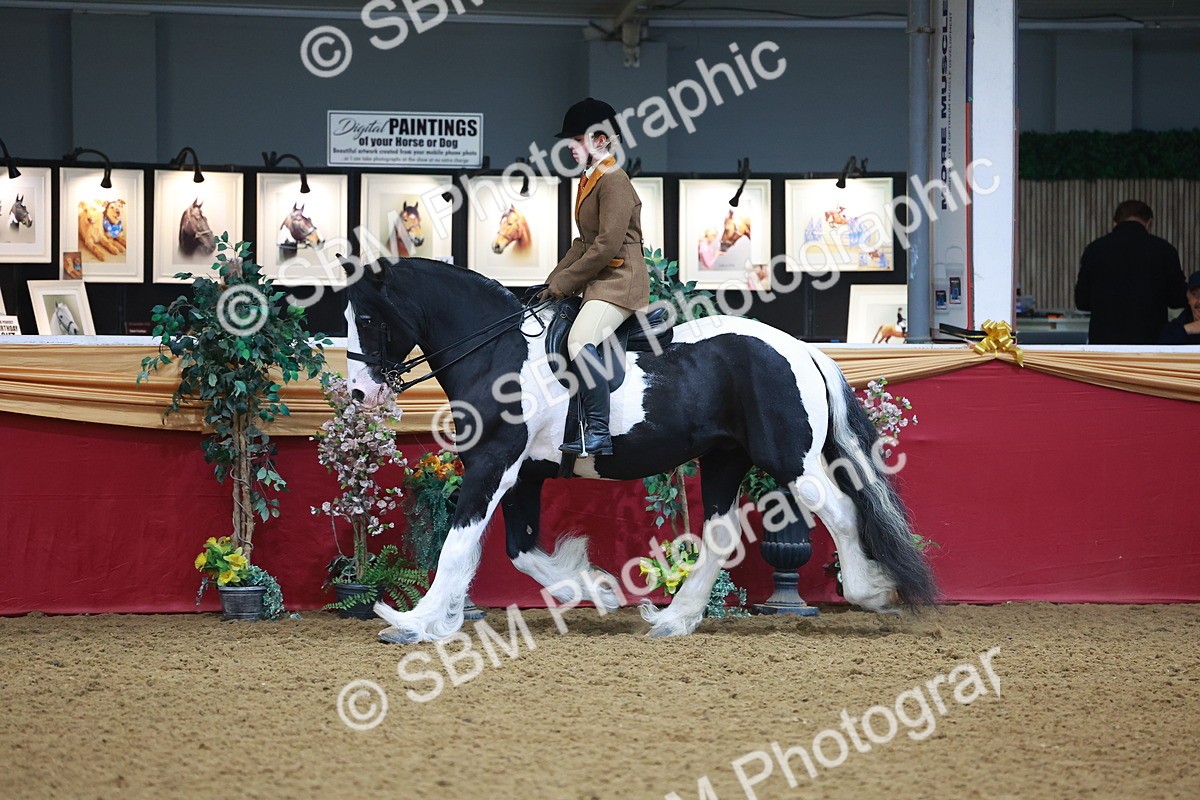 SBM_09737 - Class 102 - HOYS Veteran Qualifier - Ridden Veteran